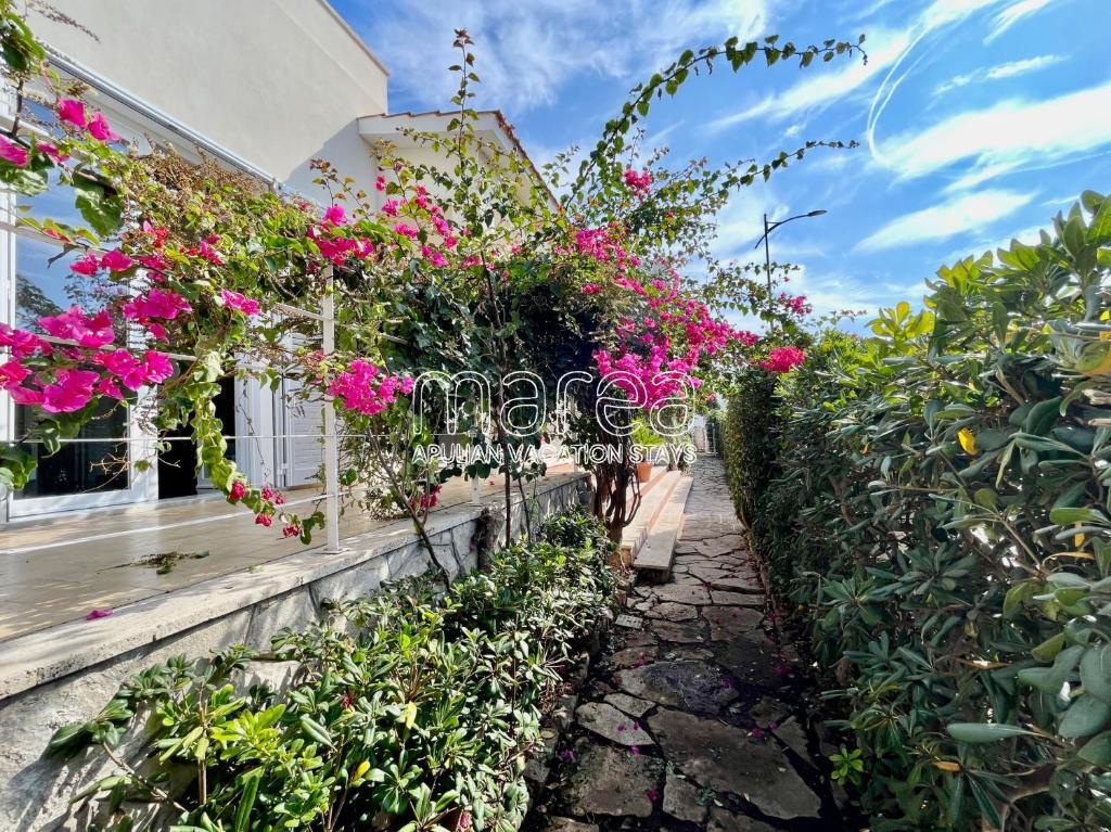 Villa Nauna, Fronte Mare Con Giardino E Terrazzo - Marea Stays Collection Nardò 外观 照片